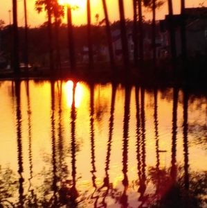 Meet your Posher, Izzy